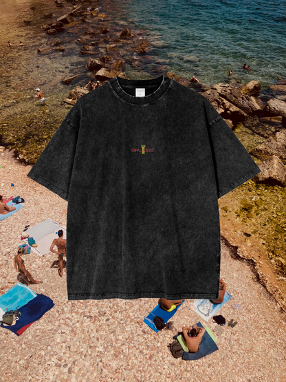 AMORE MIO COVERBACK (BLACK) Oversize Snow Washed T-Shirt