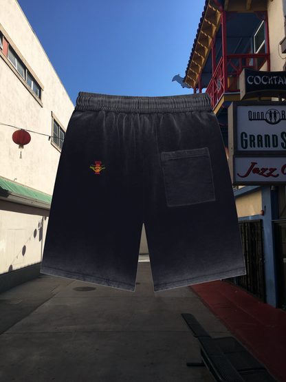 BIG TOURIST (BLACK) Reverse Dyed Sweatshorts