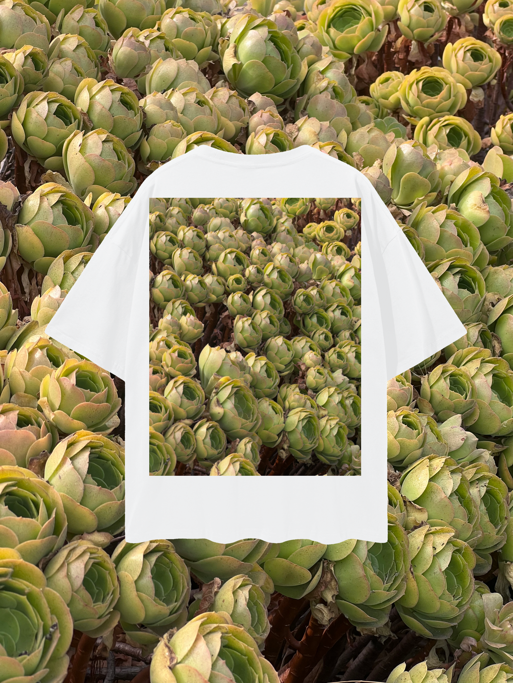 SKOPSKO ARTICHOKE Oversized Tee