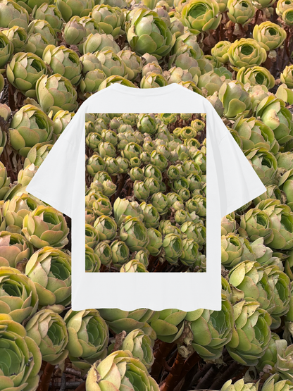 SKOPSKO ARTICHOKE Oversized Tee
