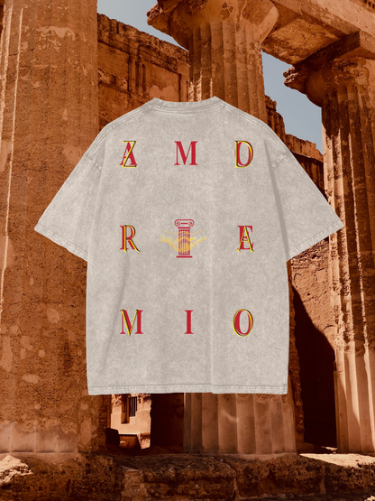 ZDRAVO AMORE MIO COVERBACK (IVORY) Oversize Snow Washed T-Shirt